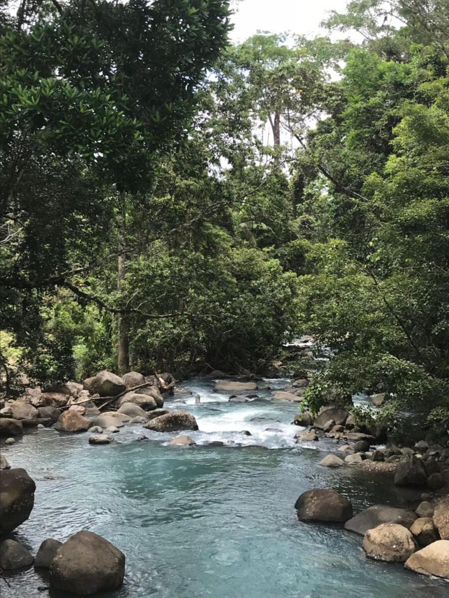 La Piña, Rio Celeste - Housity