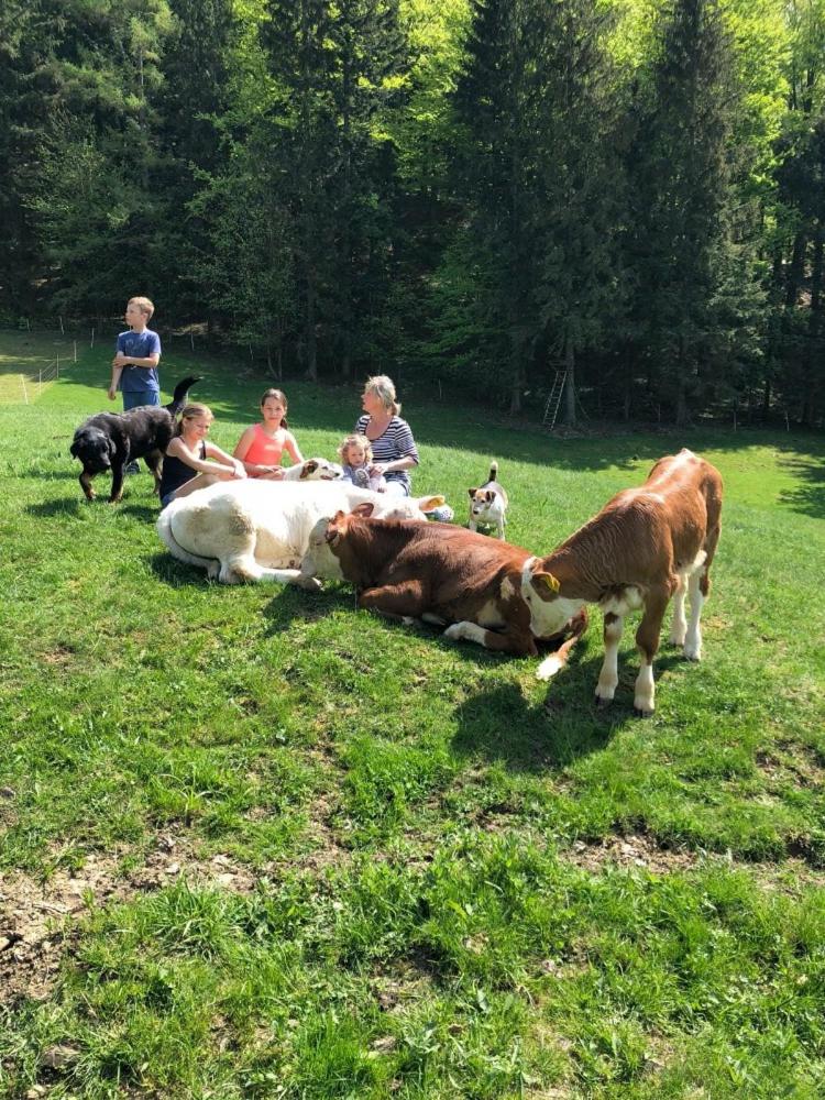 Statek U Rajmunda zemědělská farma - Housity