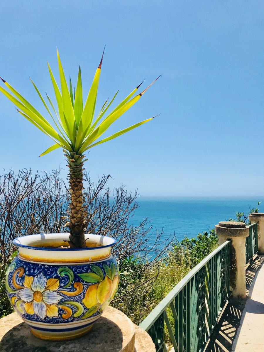 Casa Terme - Housity