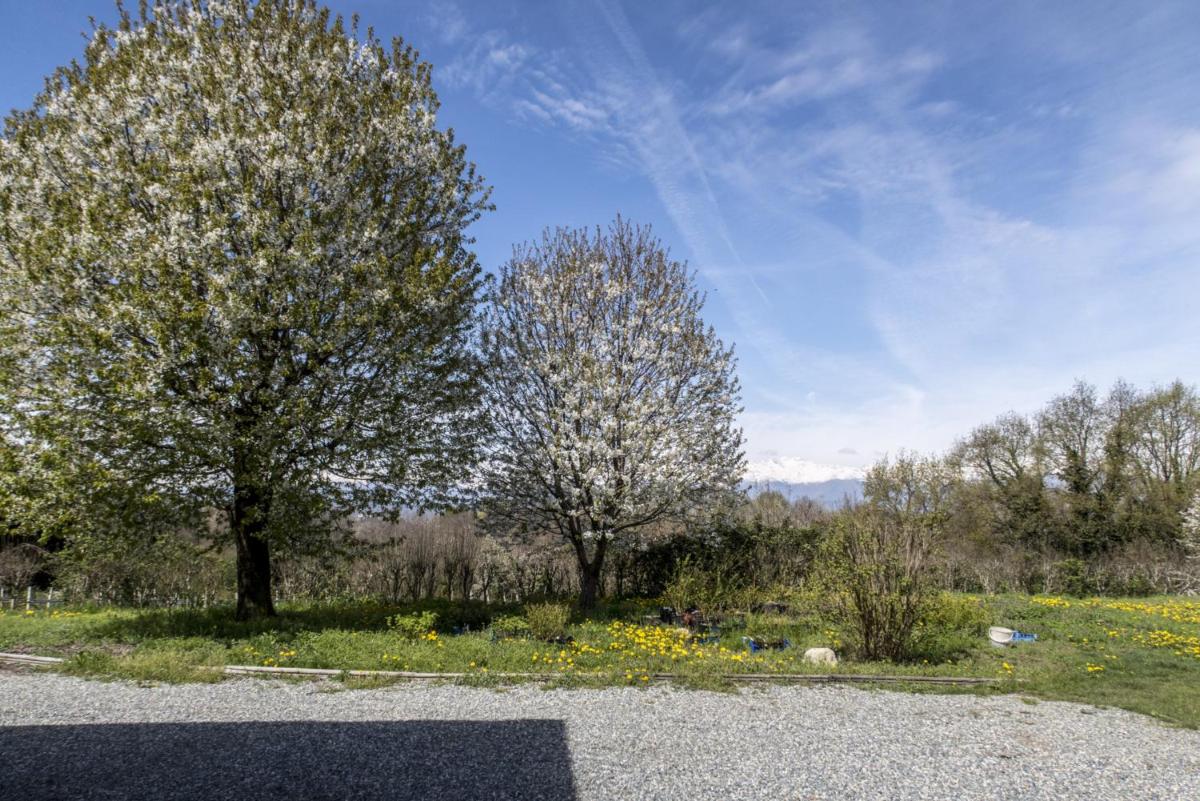 B&B Il Mirtillo - Housity