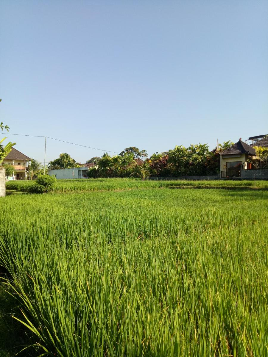 Villa Esa Ubud - Housity
