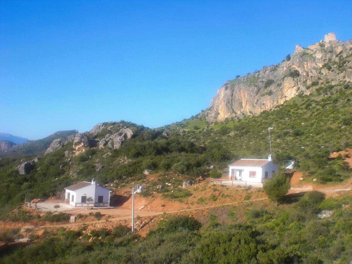 La Solana de turón. La coscoja. - Housity