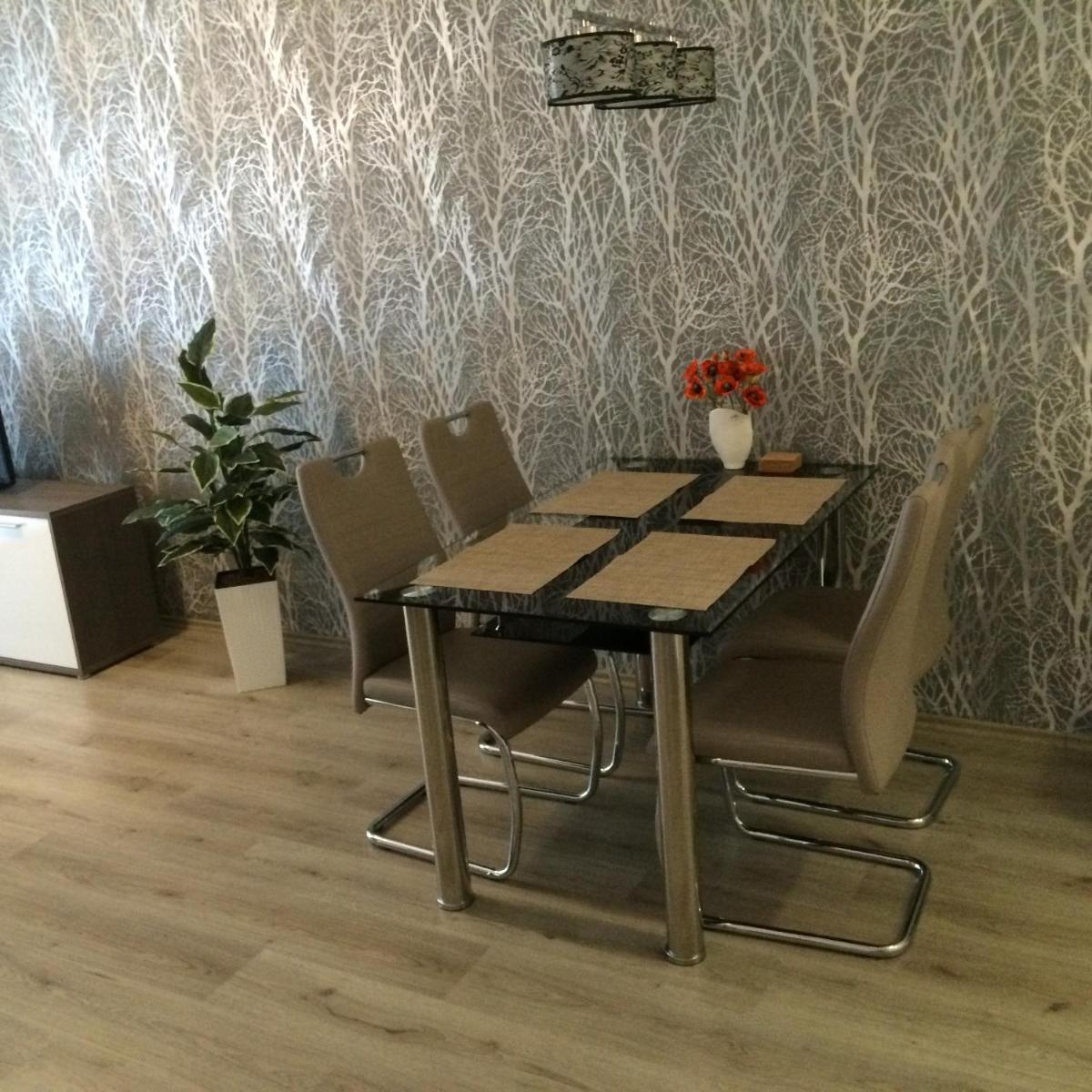 Apartmán Třeboň č. 1 - Housity