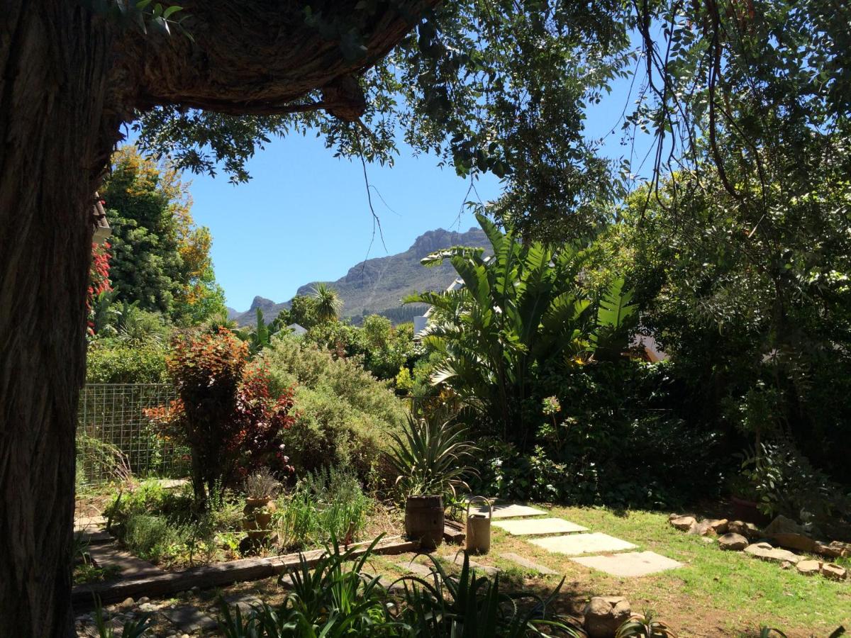 Constantia Guest House - Housity