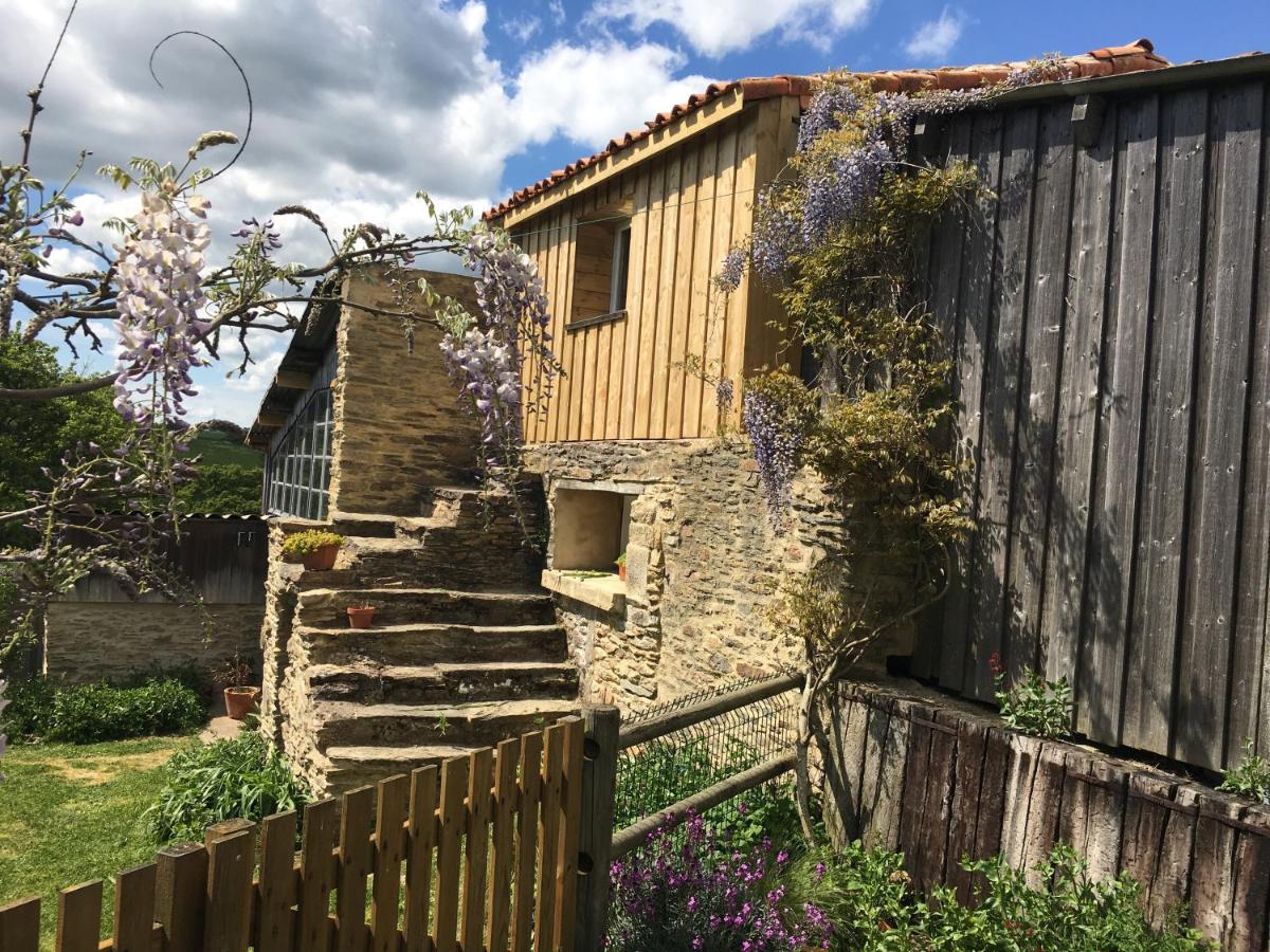 Gite Mimosa - Housity