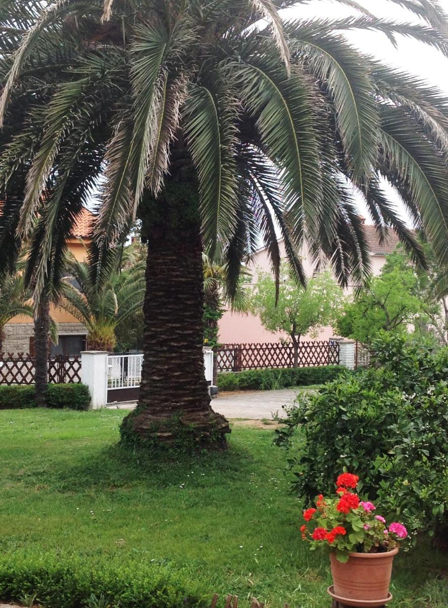 Apartment Summer house 2 - Hizvo