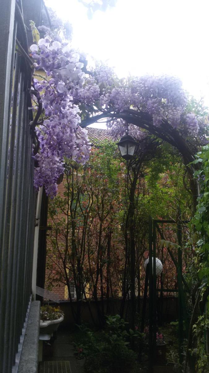 B&B IL TERRAZZO - Housity