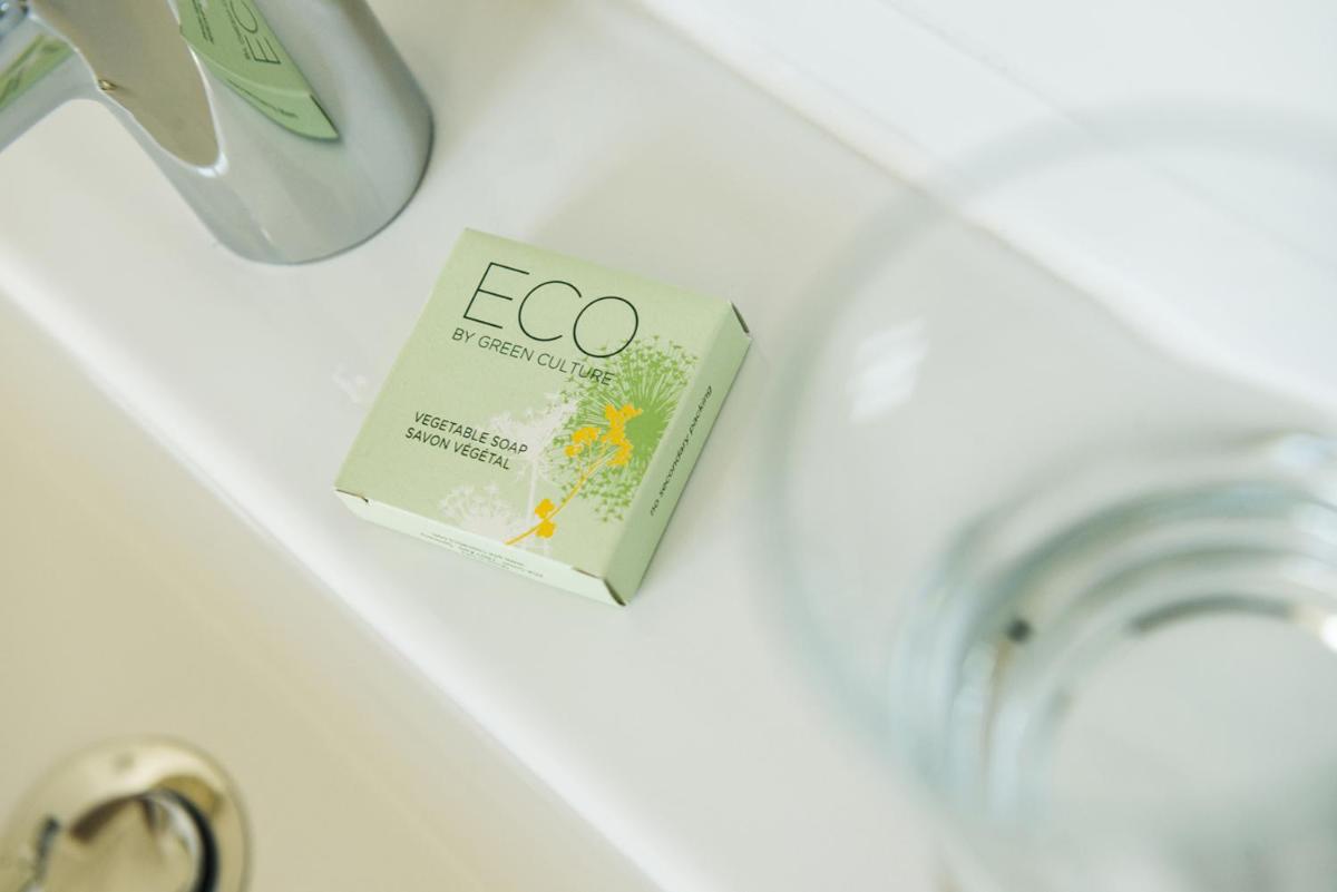 Le Domaine (Swiss Lodge) - Housity