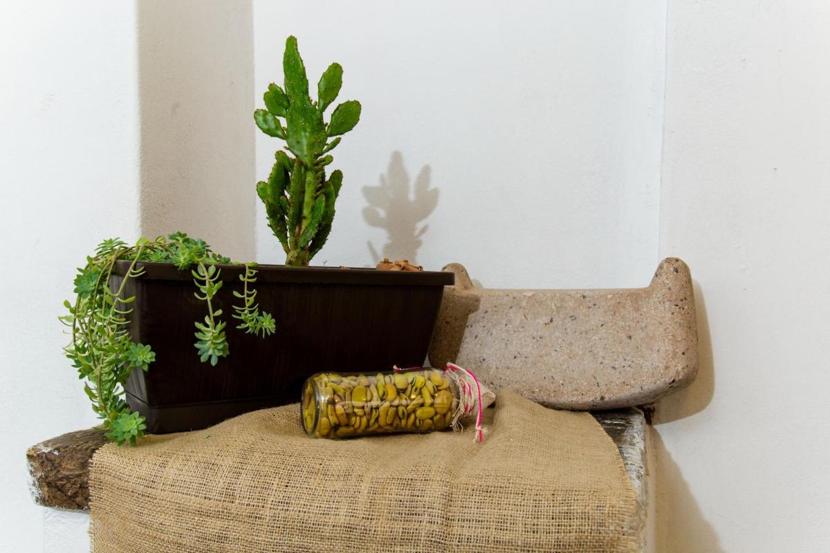 Apartment & Rooms Cusco - Housity
