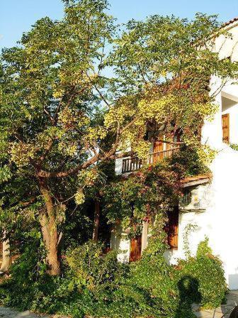 Korali - Housity