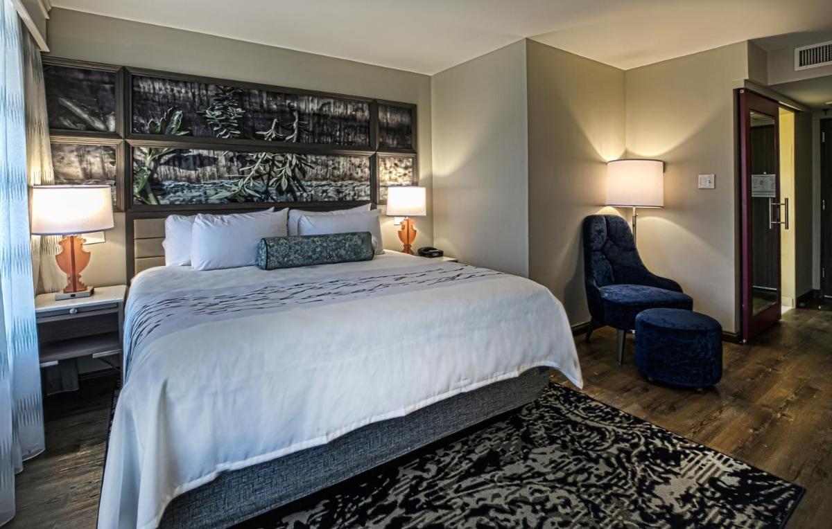 Hotel Indigo - Birmingham Five Points S - UAB by IHG - Housity