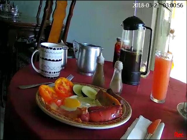 Fern Tree Bed and Breakfast - Housity