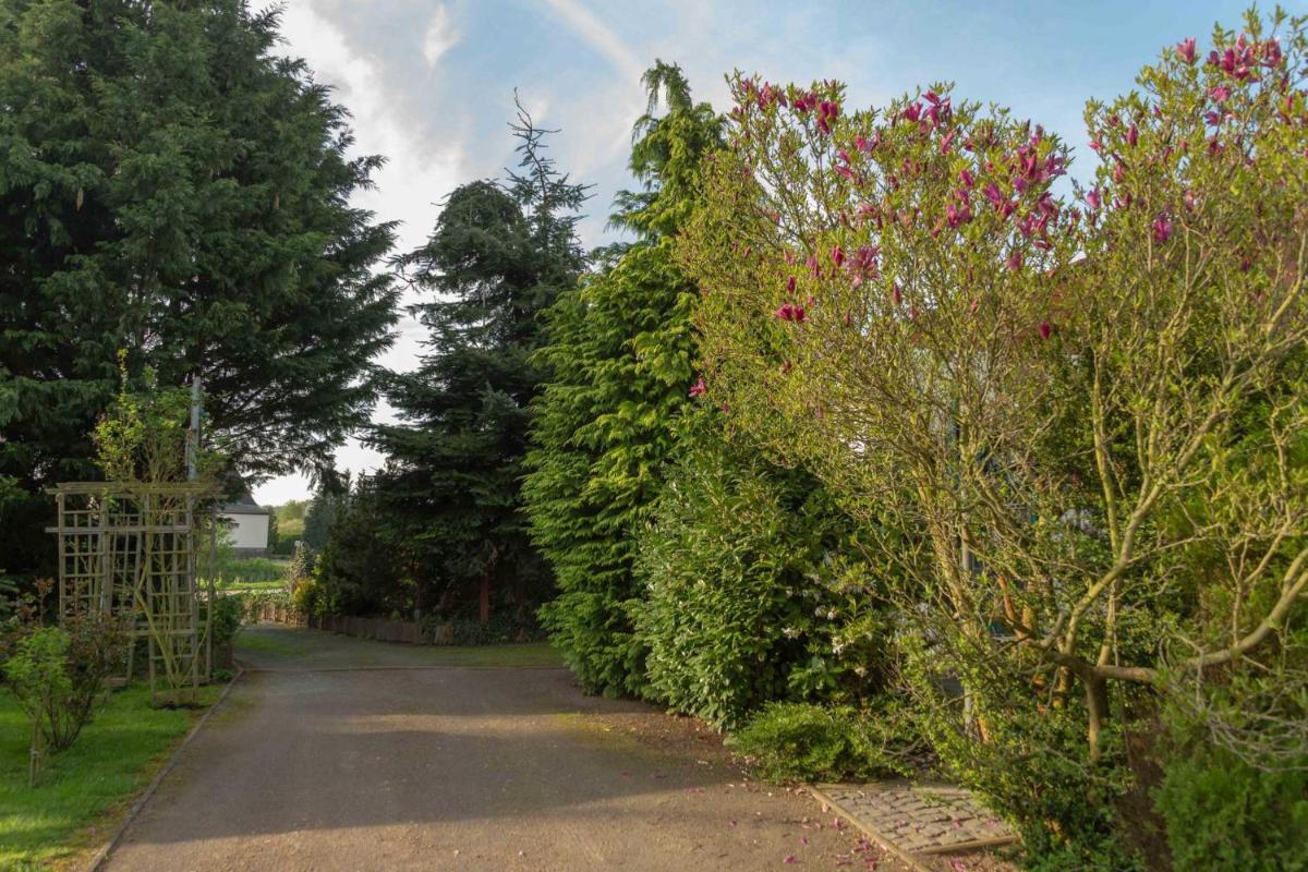 Pension zum Schwanenteich - Housity