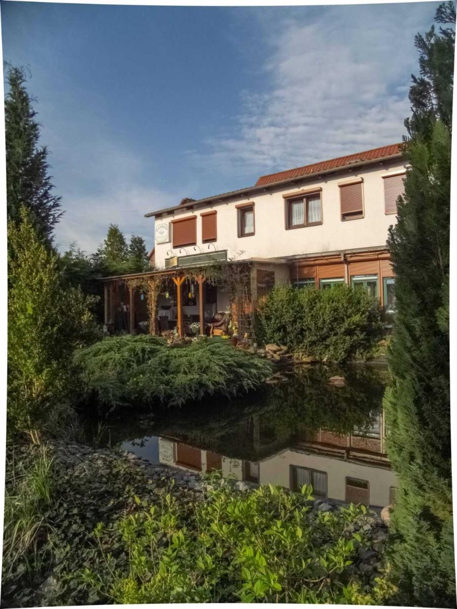 Pension zum Schwanenteich - Housity