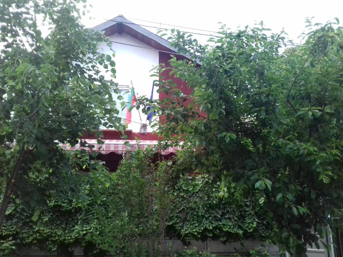 Guest House Flora - Housity