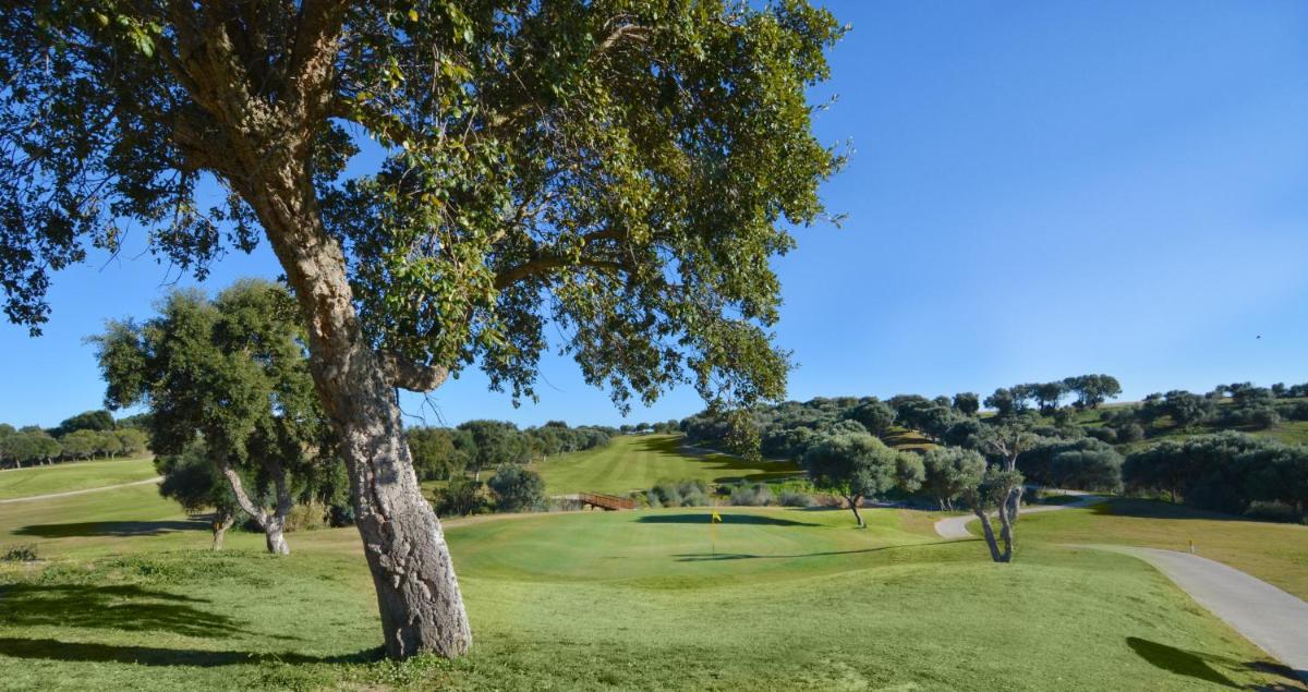 Instalaciones para jugar al golf en el hotel o alrededores