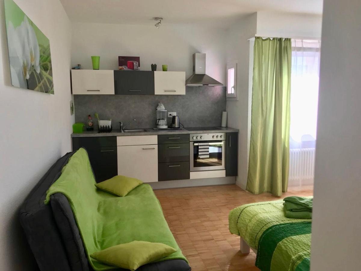 Apartment al Lido Ascona - Housity
