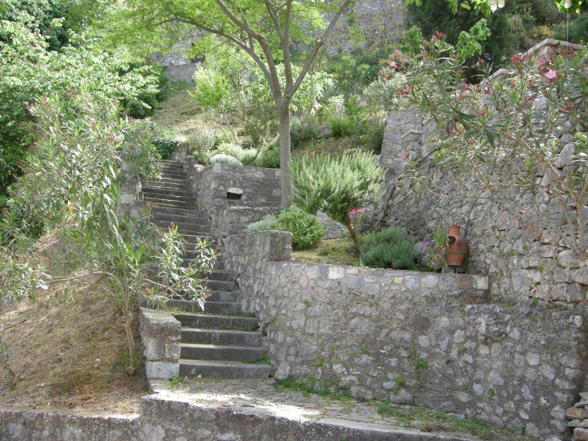 Kria springs - Housity