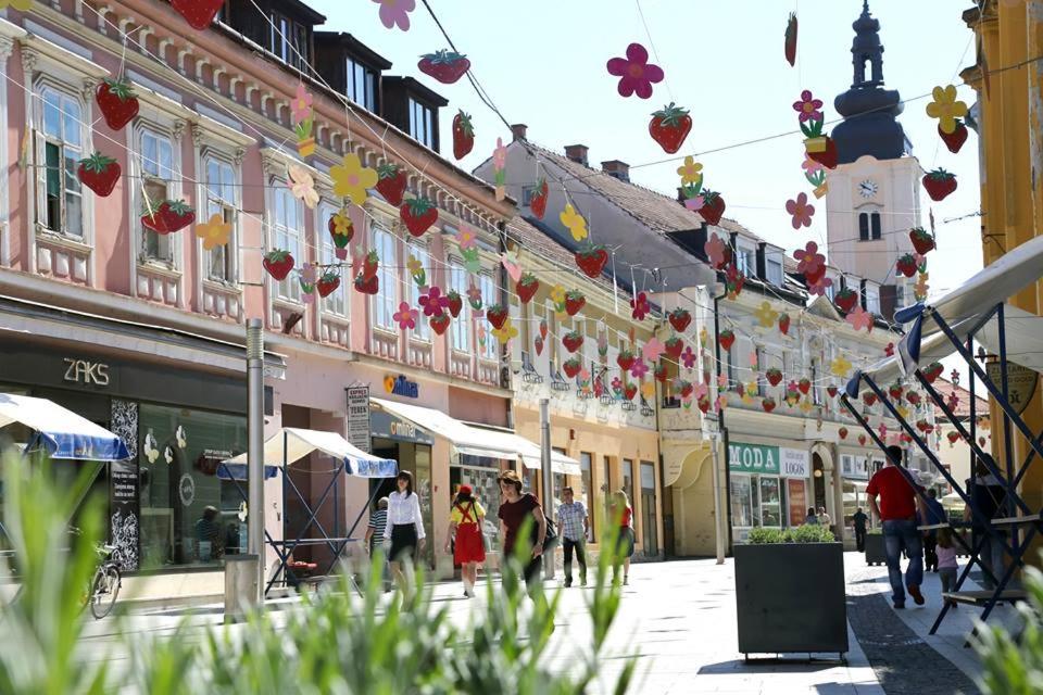 Center Apartment Čakovec - Housity
