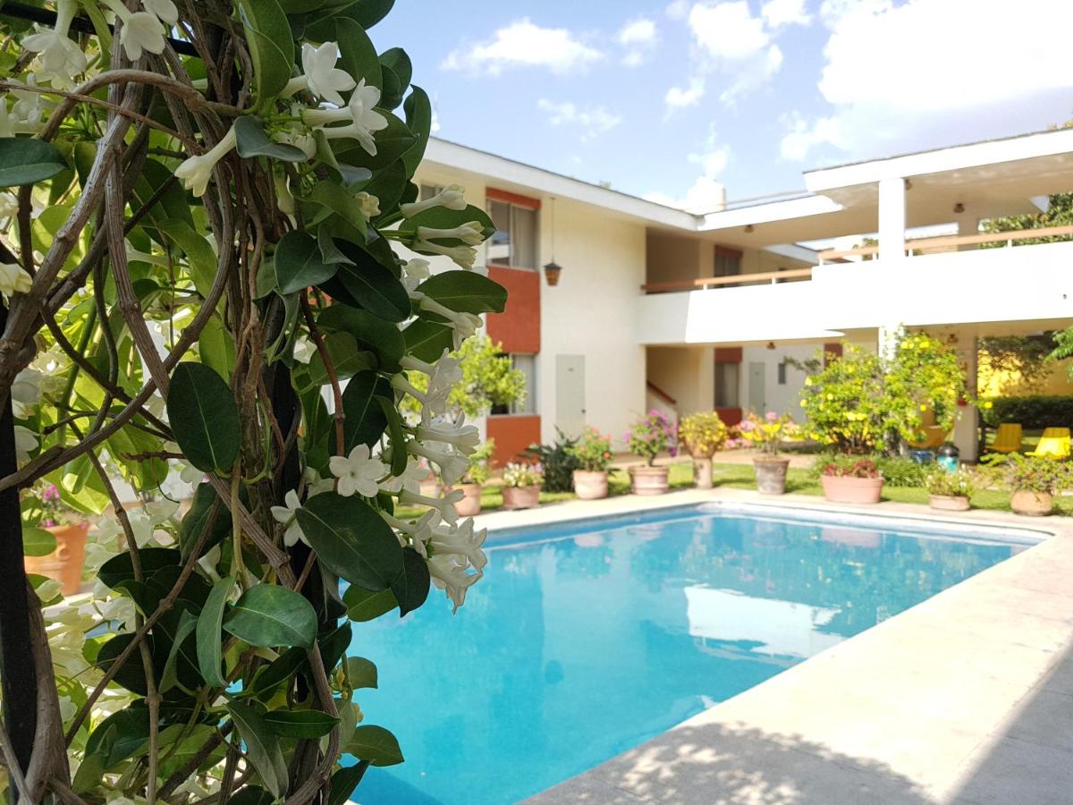 Hotel Isabel - Housity