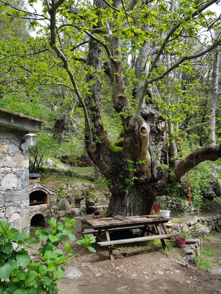 Chambre d'Hôte 