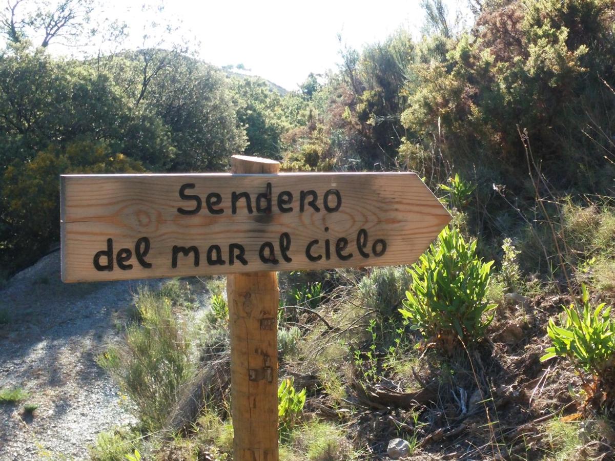 Paisaje cerca de este hotel