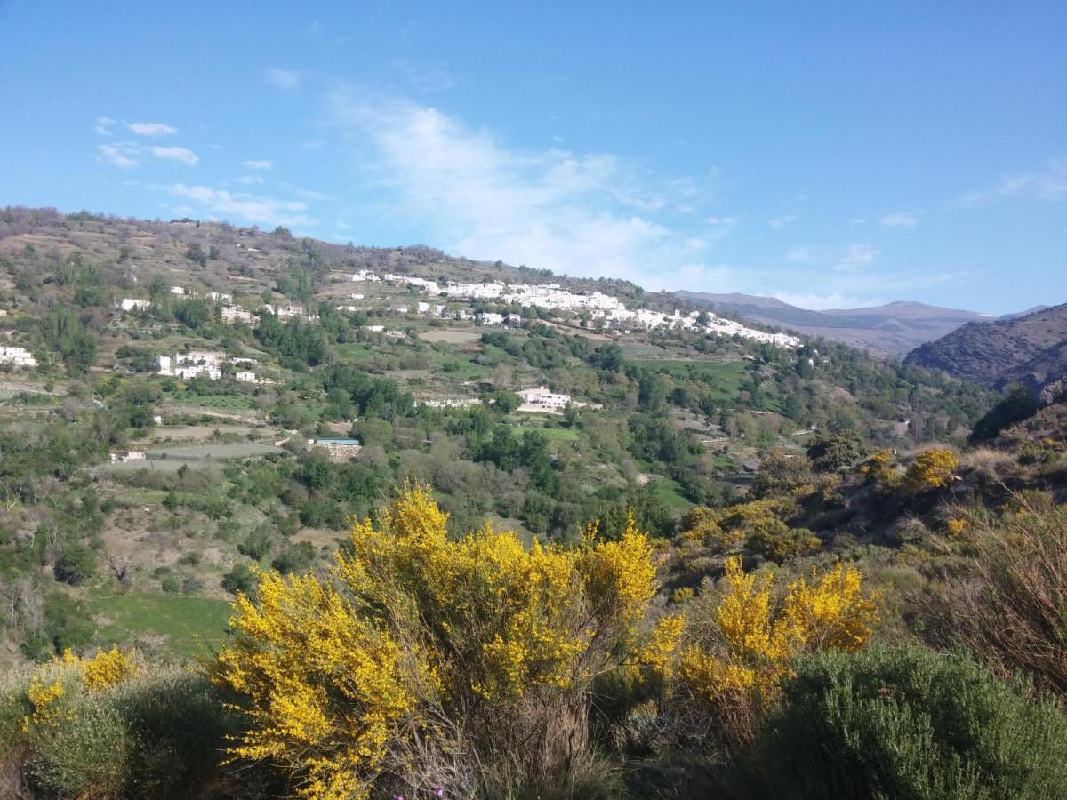 Paisaje cerca de este hotel