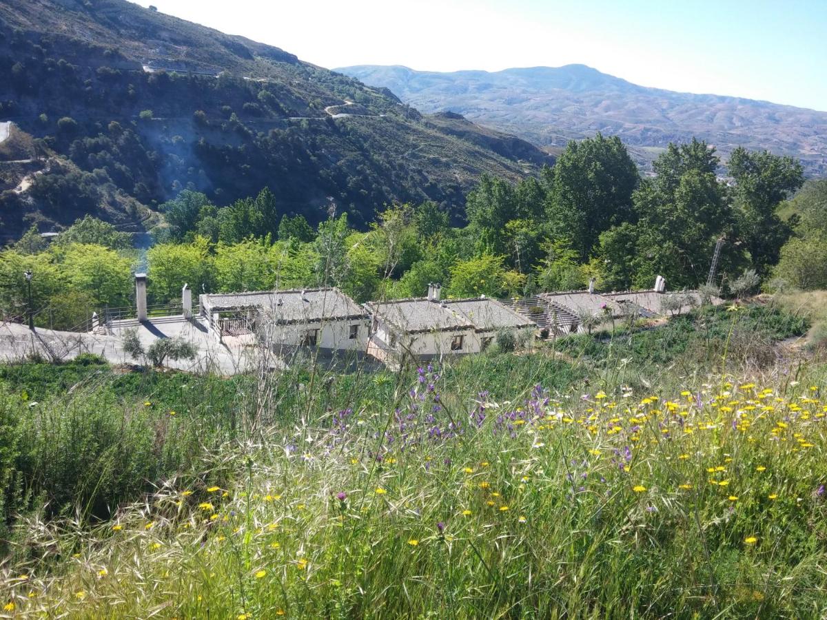 Paisaje cerca de este hotel