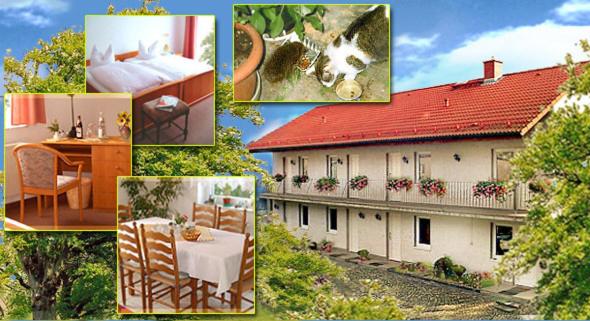 Landhotel Lützen-Stadt - Housity