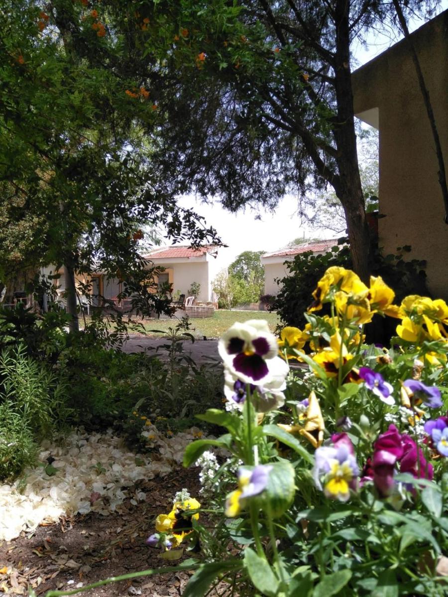 Jordan Valley Birding Lodge - Housity