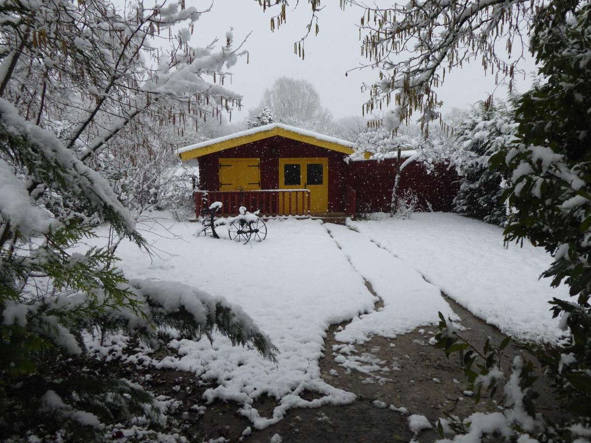 Chalet aux pied des vignes - Housity