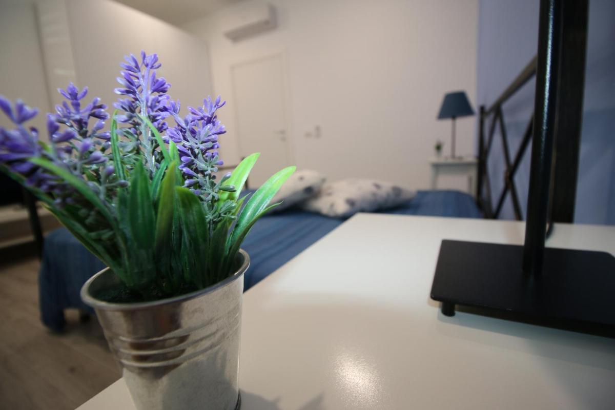 Casa Vacanze BIANCA - Housity