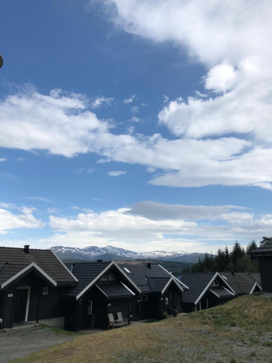 Voss Hytte/Cabin - Housity