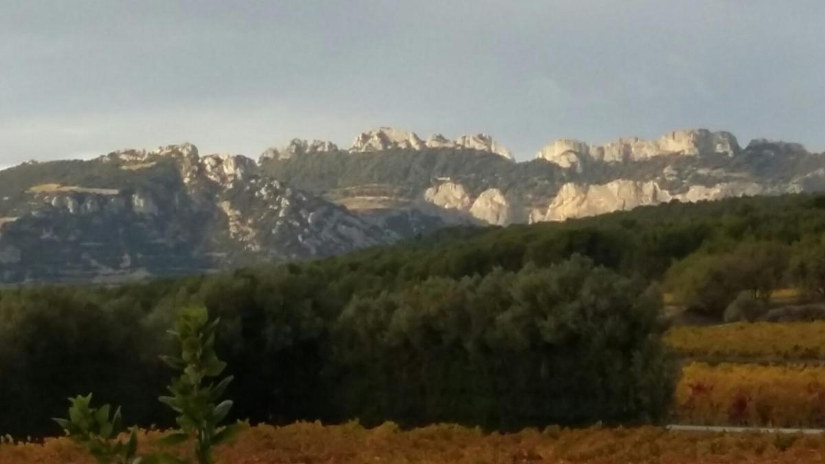 Suitetrails - La Dentellière