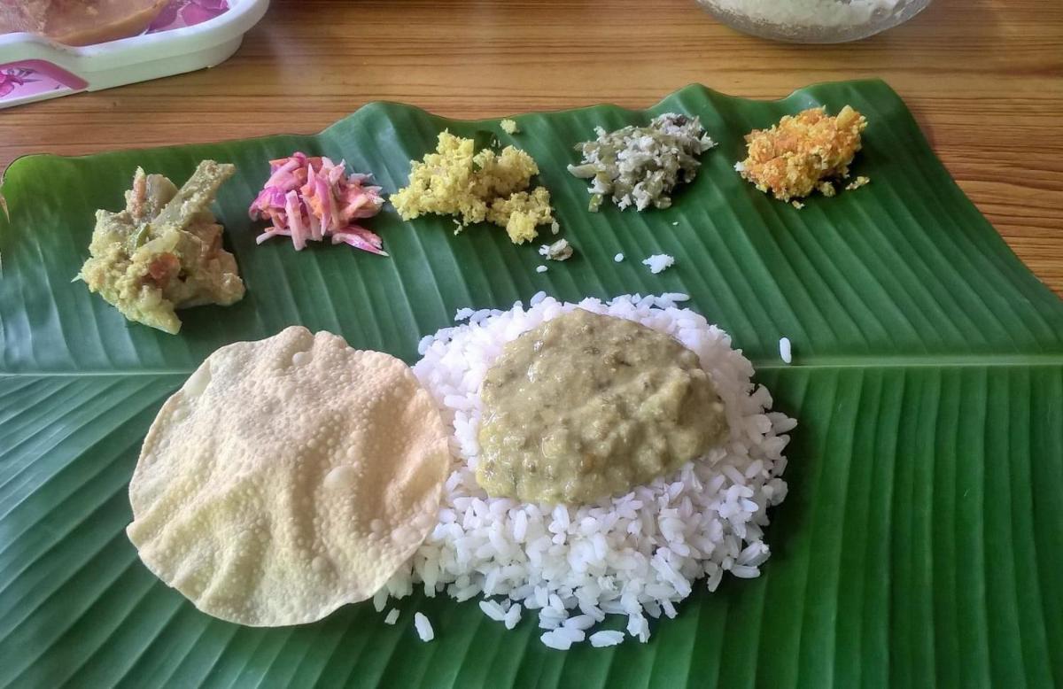 Munroe Coconut Homestay - Housity
