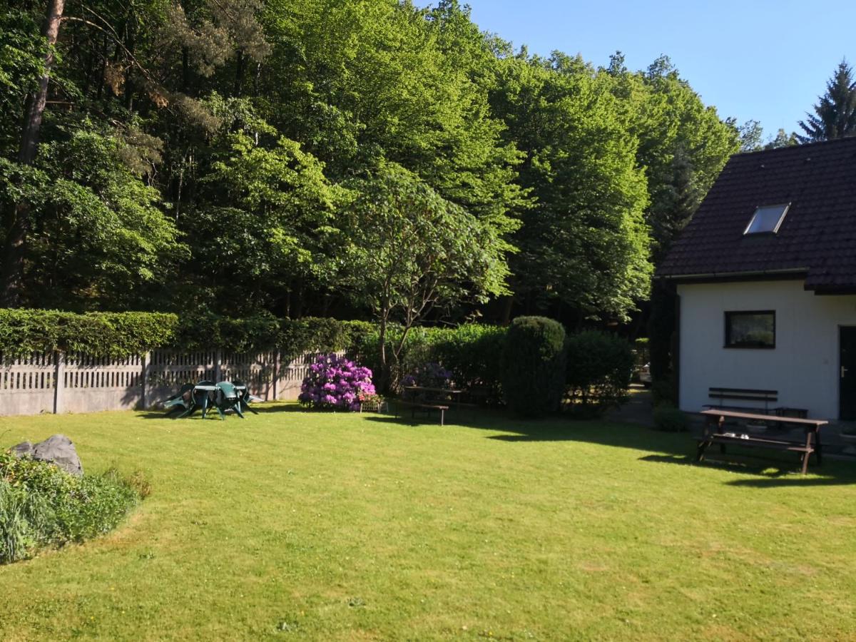 Ubytování u Máchova jezera - Apartmány - Ludmila Grulišová - Hizvo