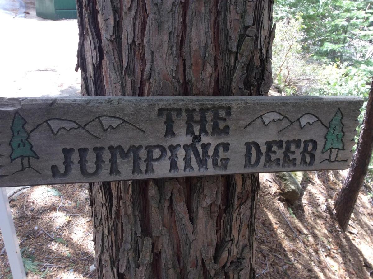 Jumping Deer - Housity
