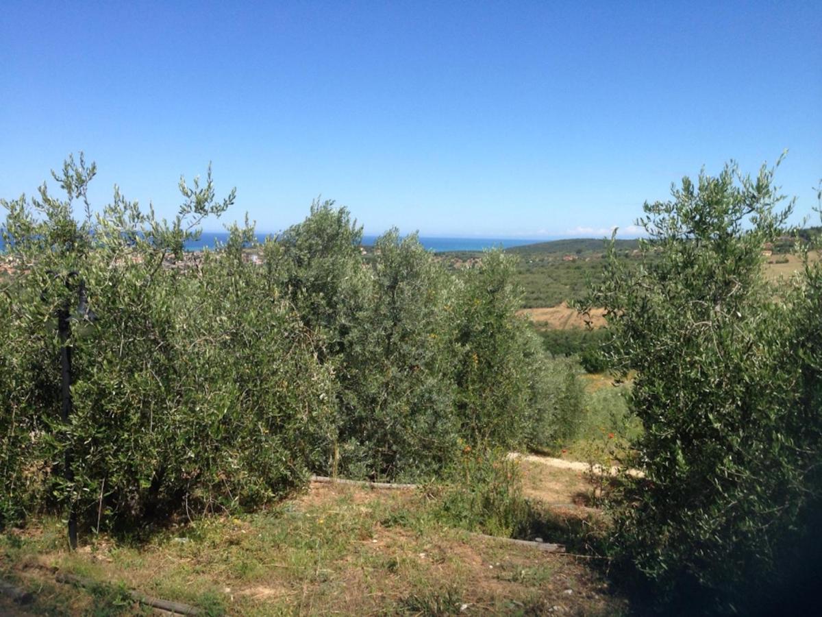 Agriturismo Le Rondini Di San Bartolo - Housity