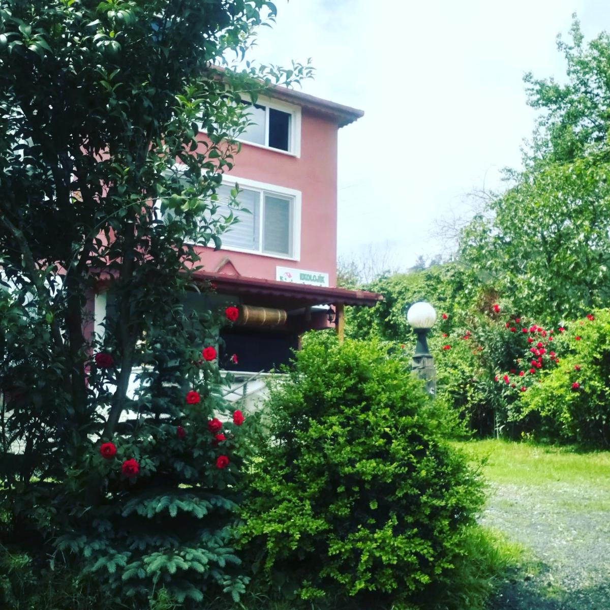 Suitetrails - Ekolojik Güney Köy Pembe Köşk