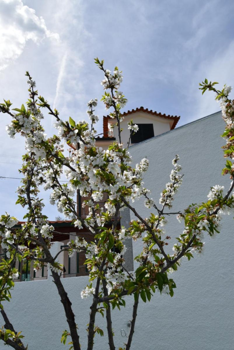 Casa do Chão do Ribeiro - Housity