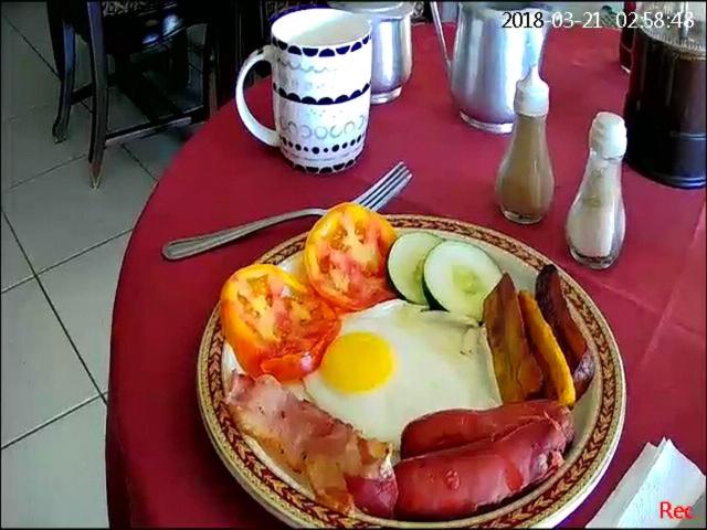 Fern Tree Bed and Breakfast - Housity