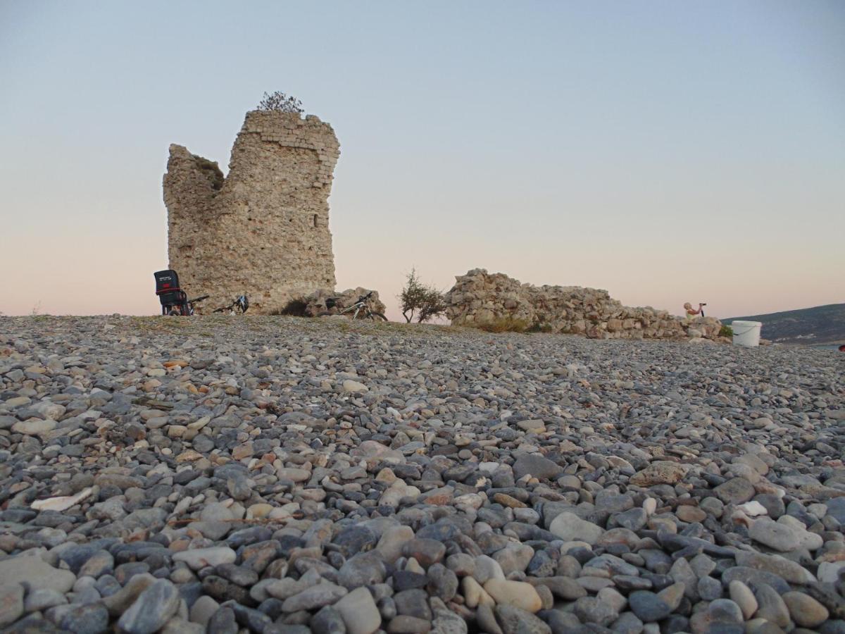 Apartments CICO Starigrad Paklenica - Housity