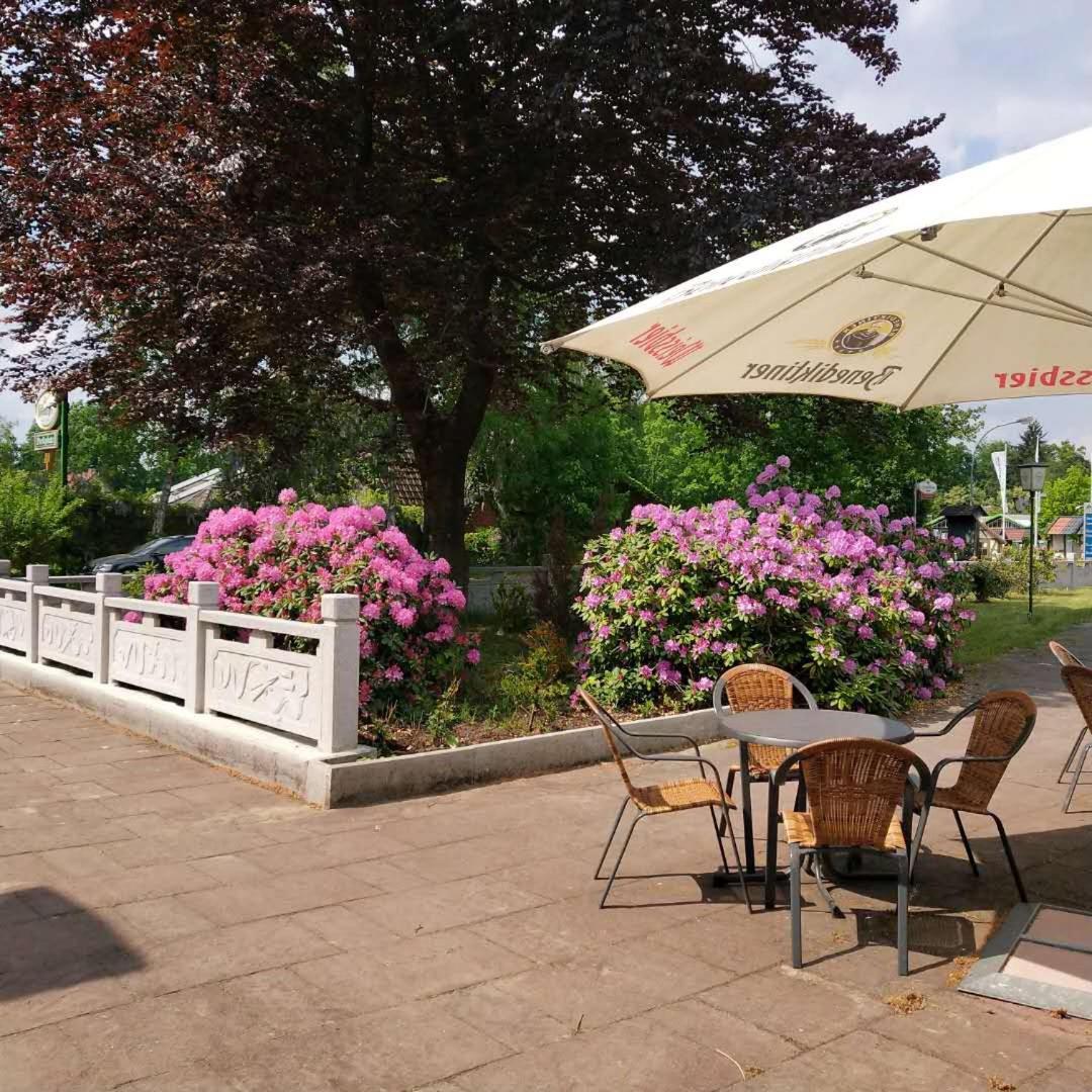 Hotel Südheide - Housity