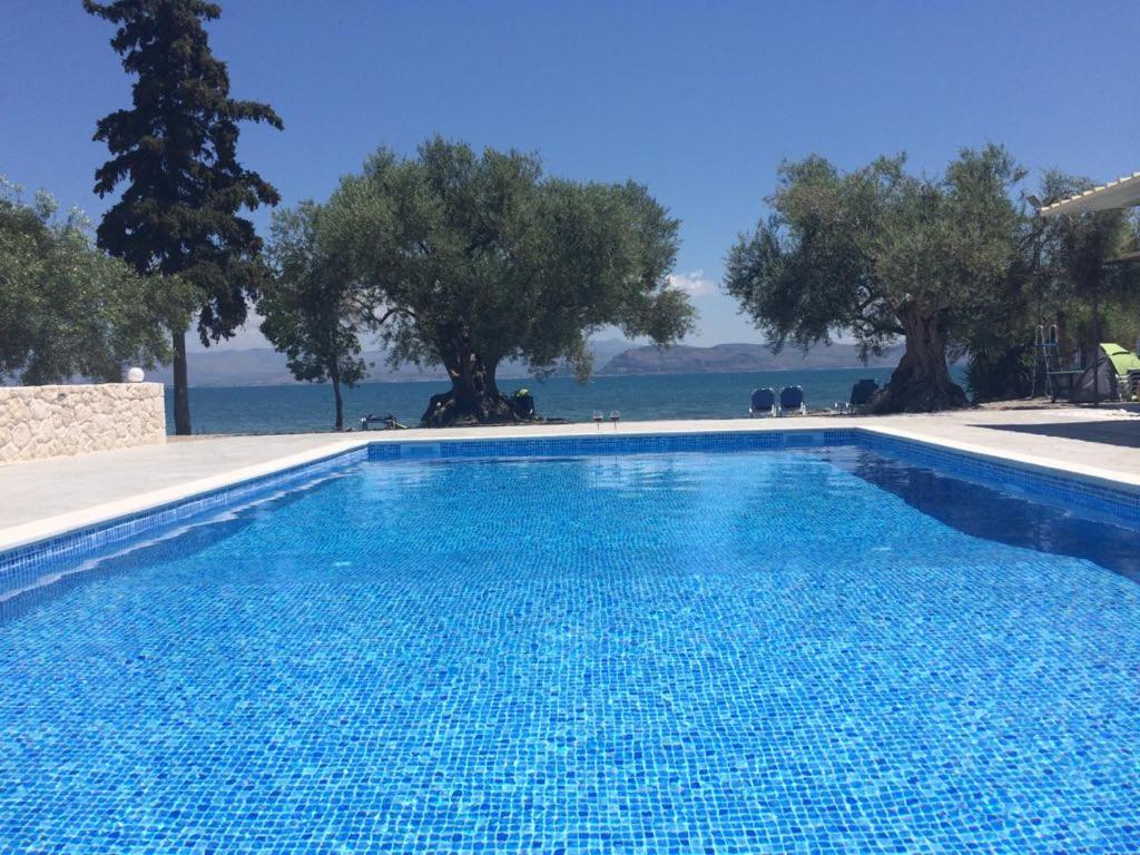 Kalimera Apartments - Housity