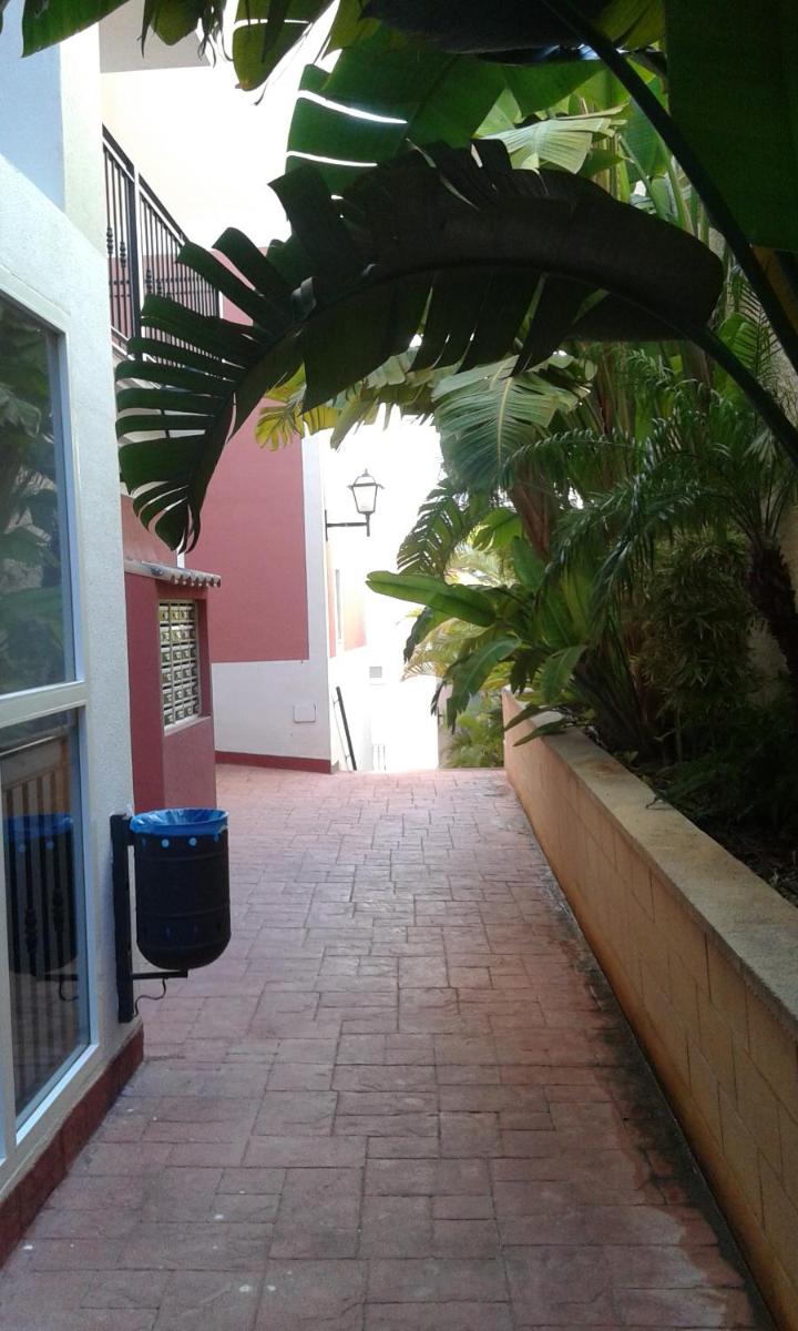 Apartmento Rosaleda - Housity