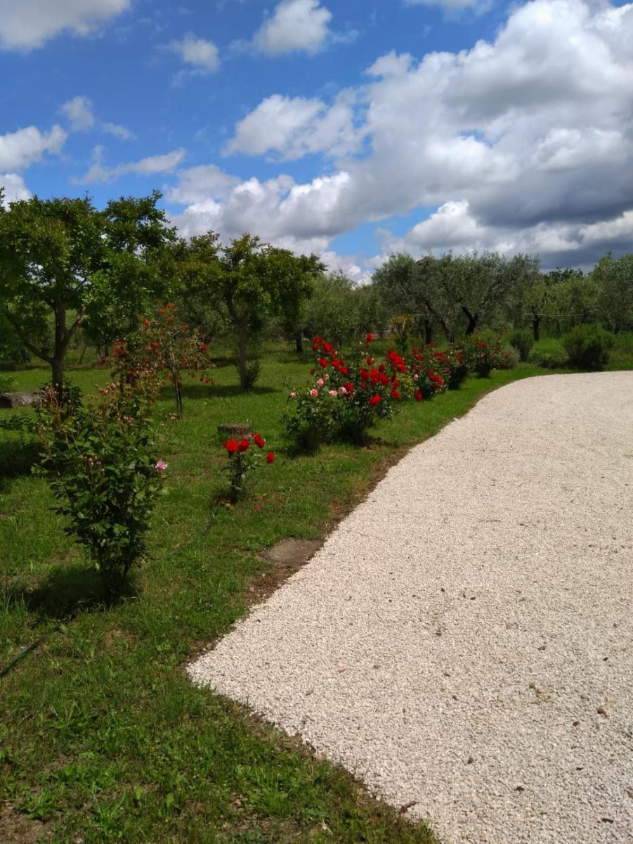 Casa Vacanze Le Rose - Housity