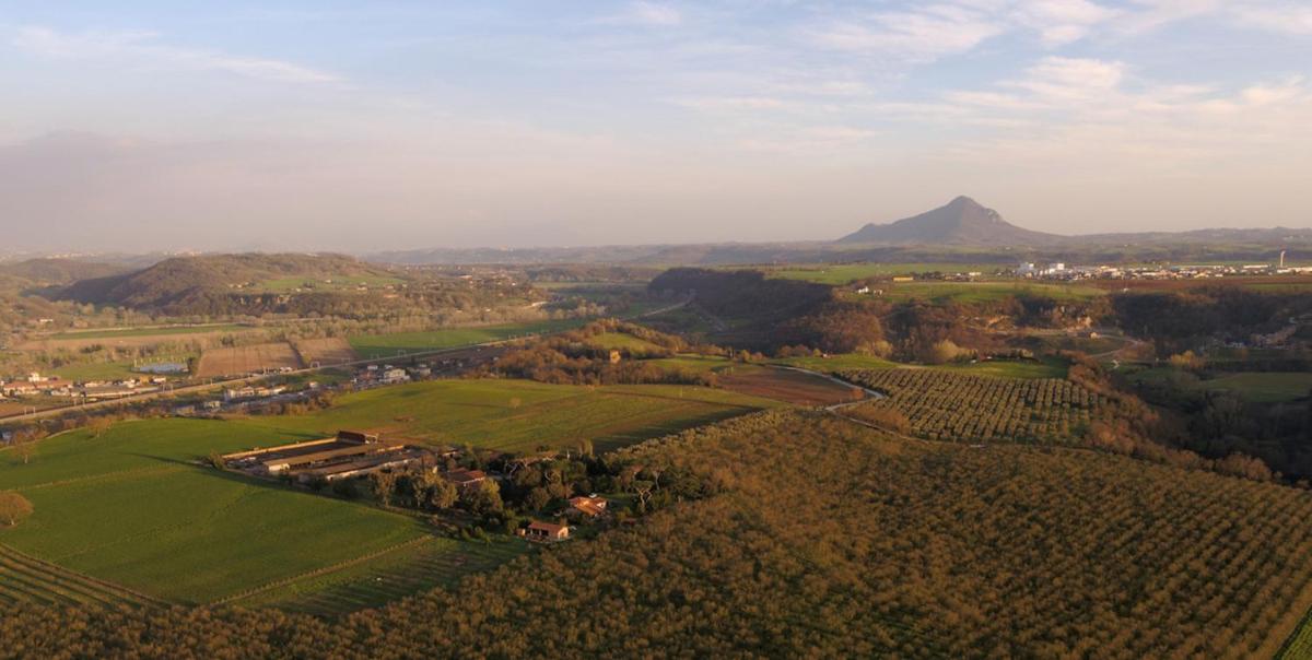 Fattoria Lucciano - Housity