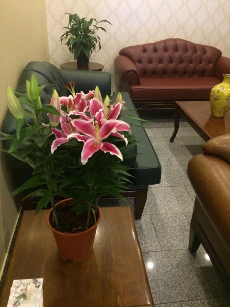 Ünver Hotel - Housity