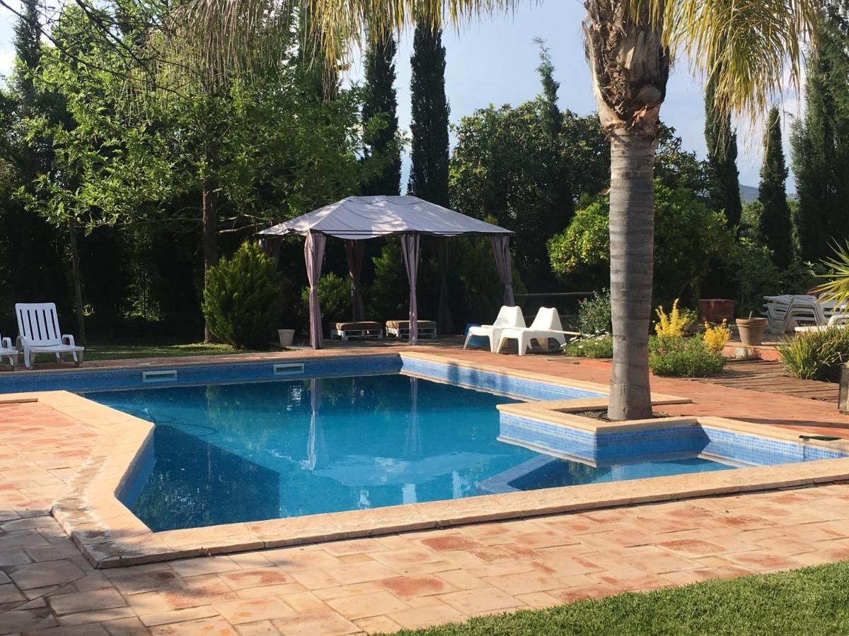 Quinta da Sao Joao - Villa Oliveira - Housity