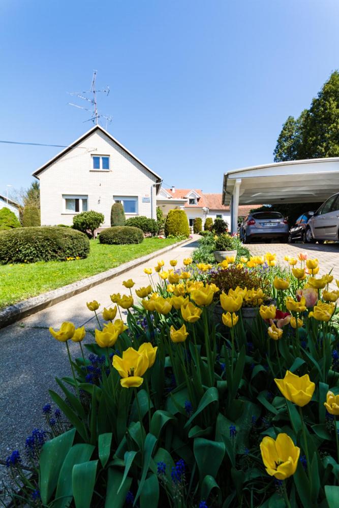 Apartma - Housity